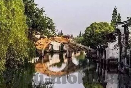 查看各类足球实时比分-解锁绿茵场实时动态，全方位指南助你玩转足球比分追踪