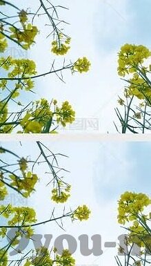 竞彩足球比分直播360彩票-竞彩足球比分直播，360彩票背后的理性观赛与投注指南